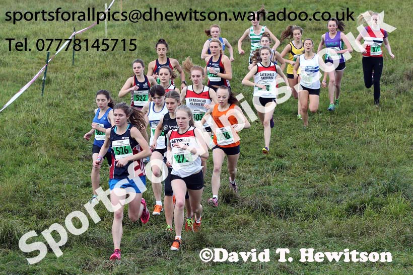 Womens under-17s and under-20s, North East Harrier League, Cramlington. Photo: David T. Hewitson/Sports for All Pics